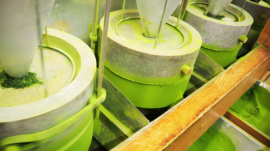 Hogyan készül a matcha Japánban – az árnyékolástól a kőmalomig